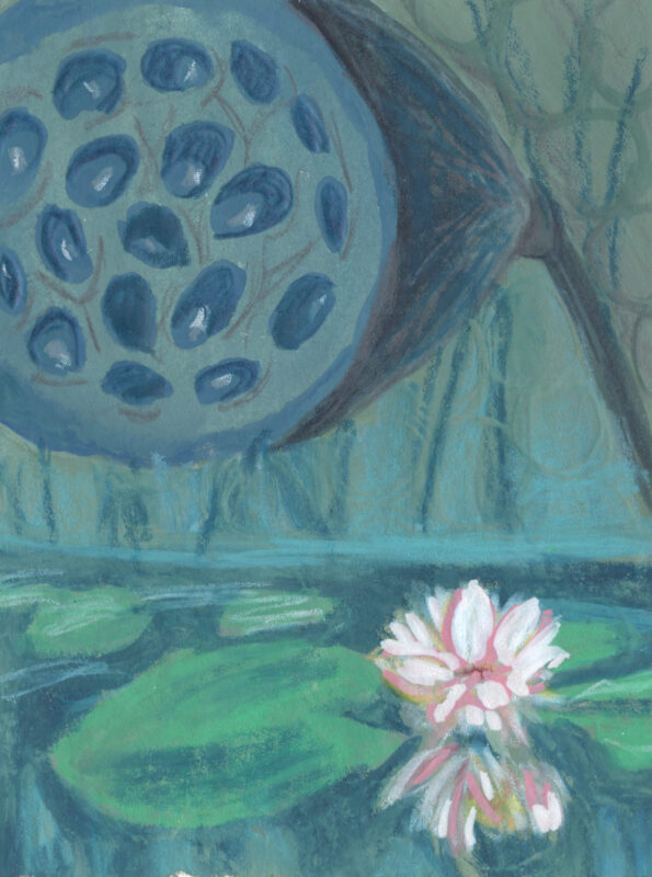 Lotus Cycle