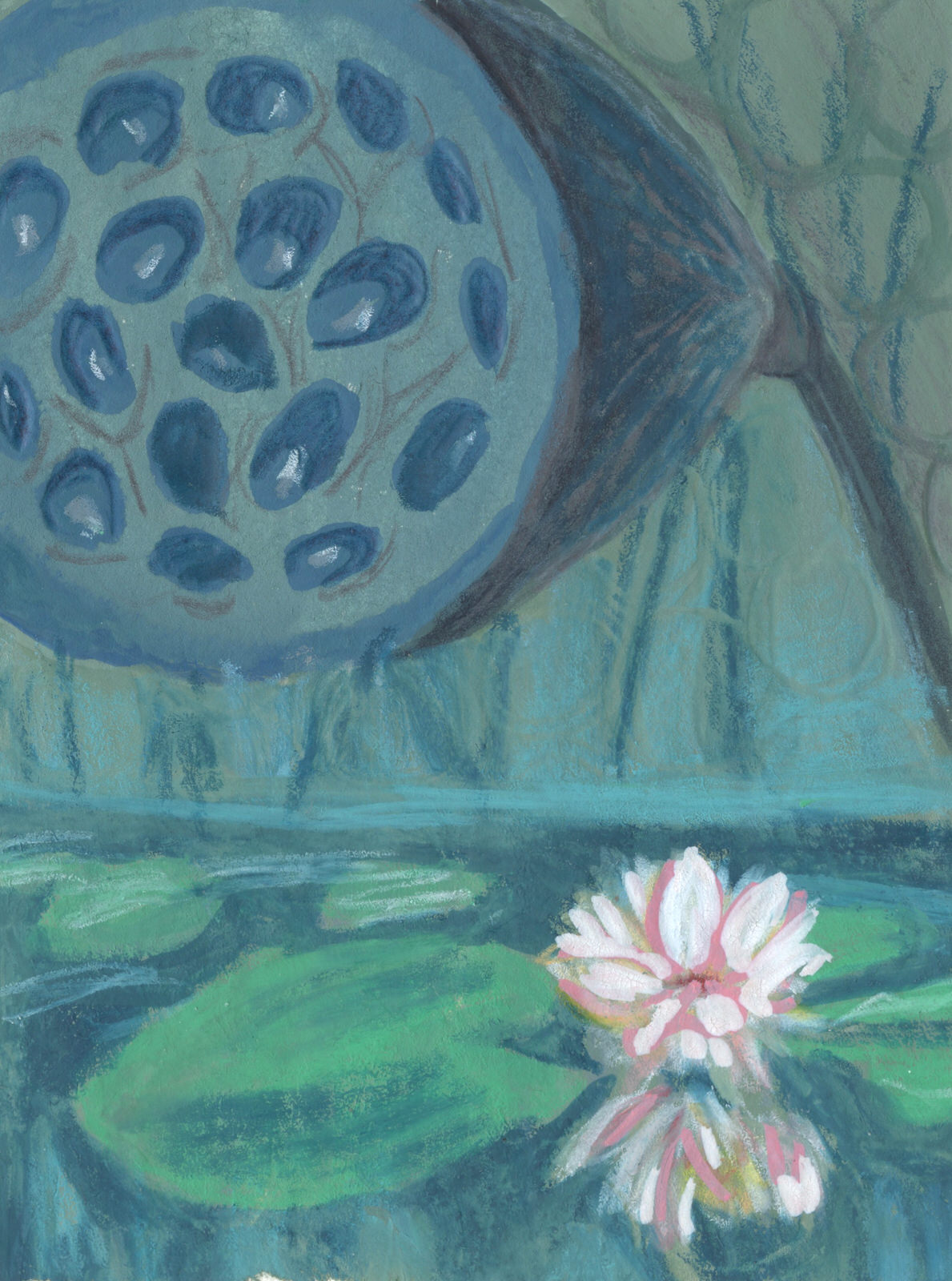 Lotus Cycle